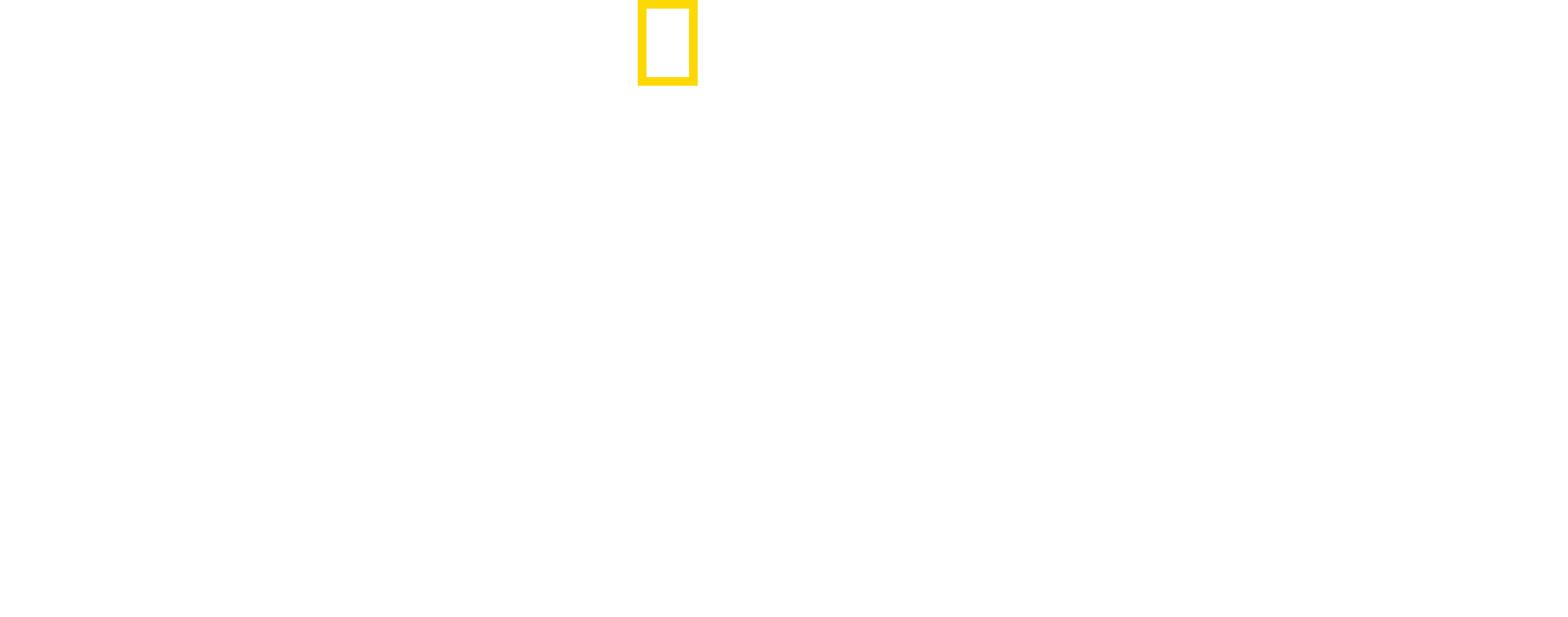 Disasters Engineered Logo