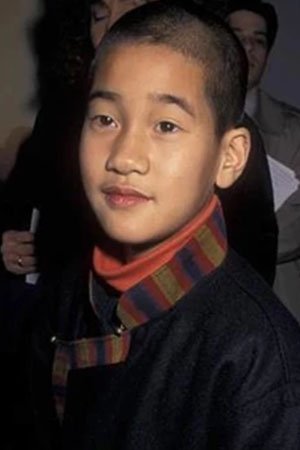Gyurme Tethong's picture in the cast