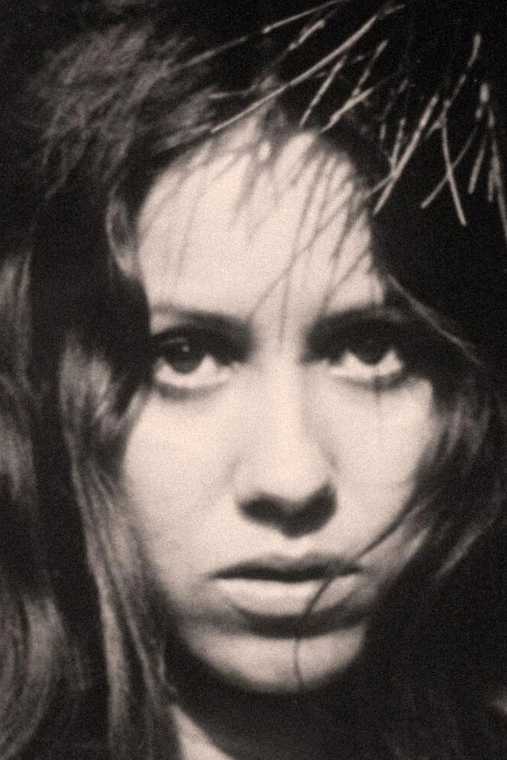 et billede af Jeannette Dilger