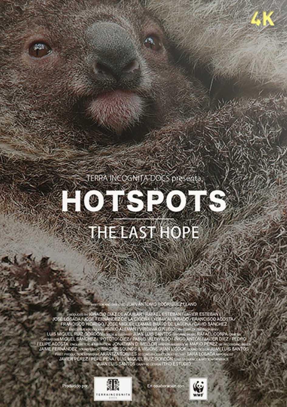 Hotspots: la última esperanza Poster
