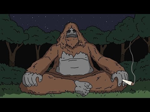 Thumbnail for SEEN A DINOSAUR Season 1 Episode 1