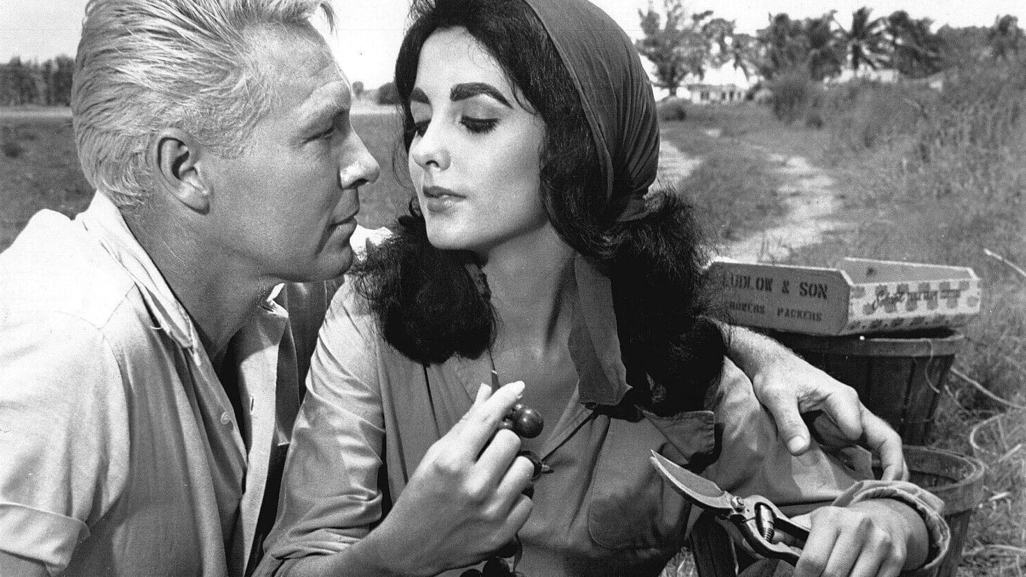 Wild Harvest (1962)