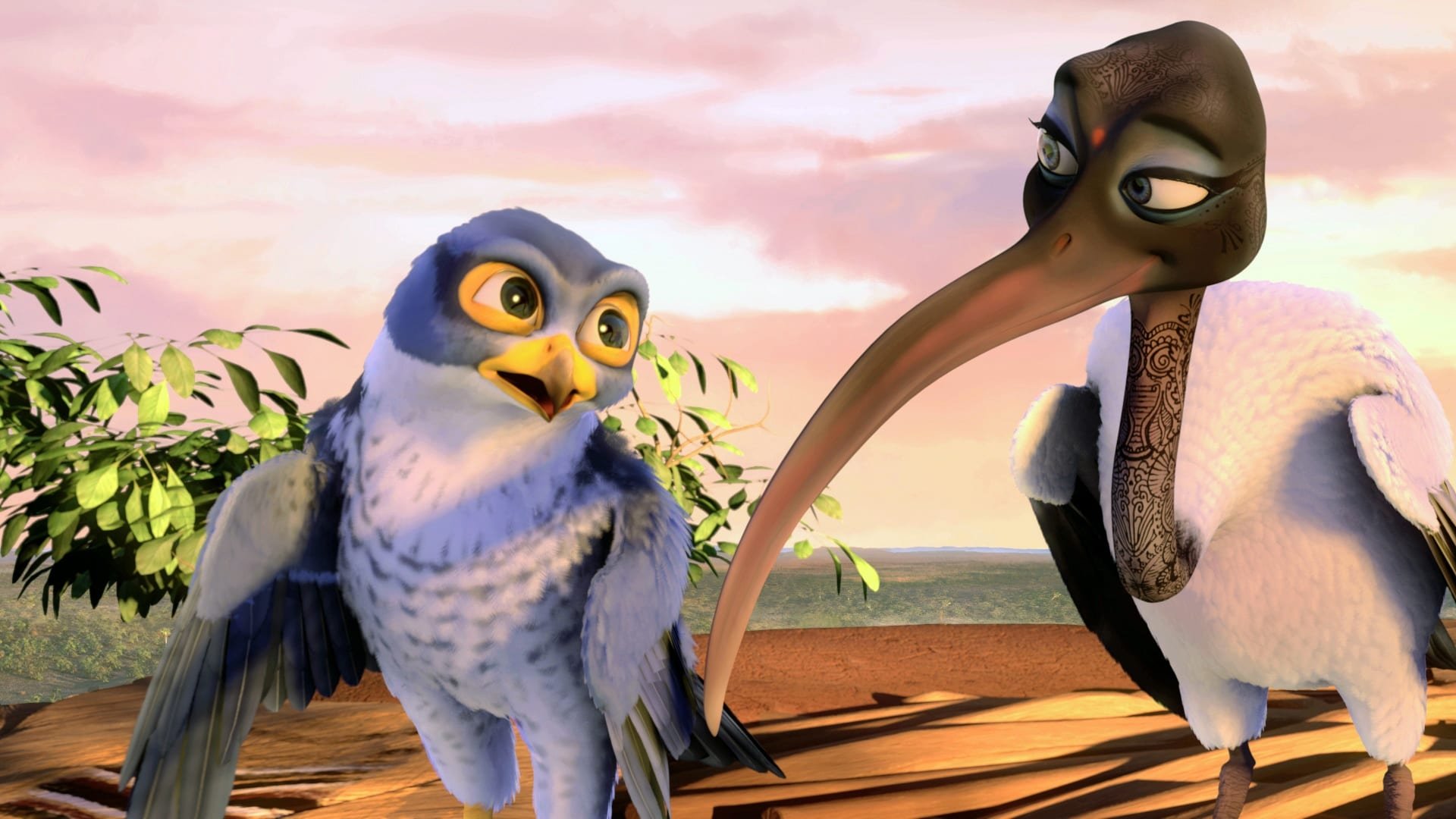 Image du film Drôles d'oiseaux tncwcvktdfkxrq2tjzkiu99wixtjpg