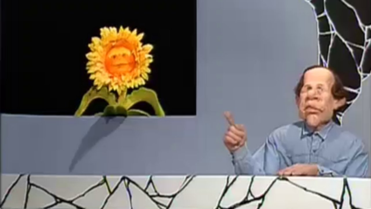 Les Guignols de l'info
