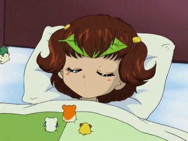 Hamtaro