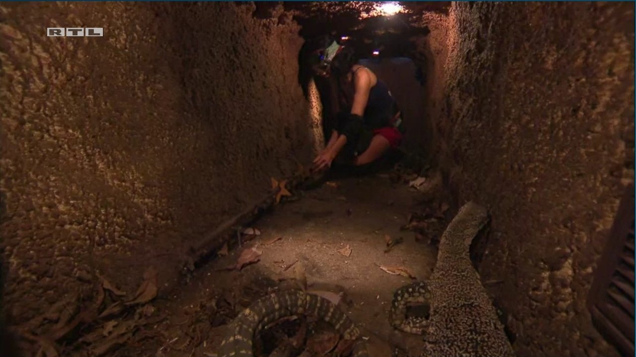 Episode 5