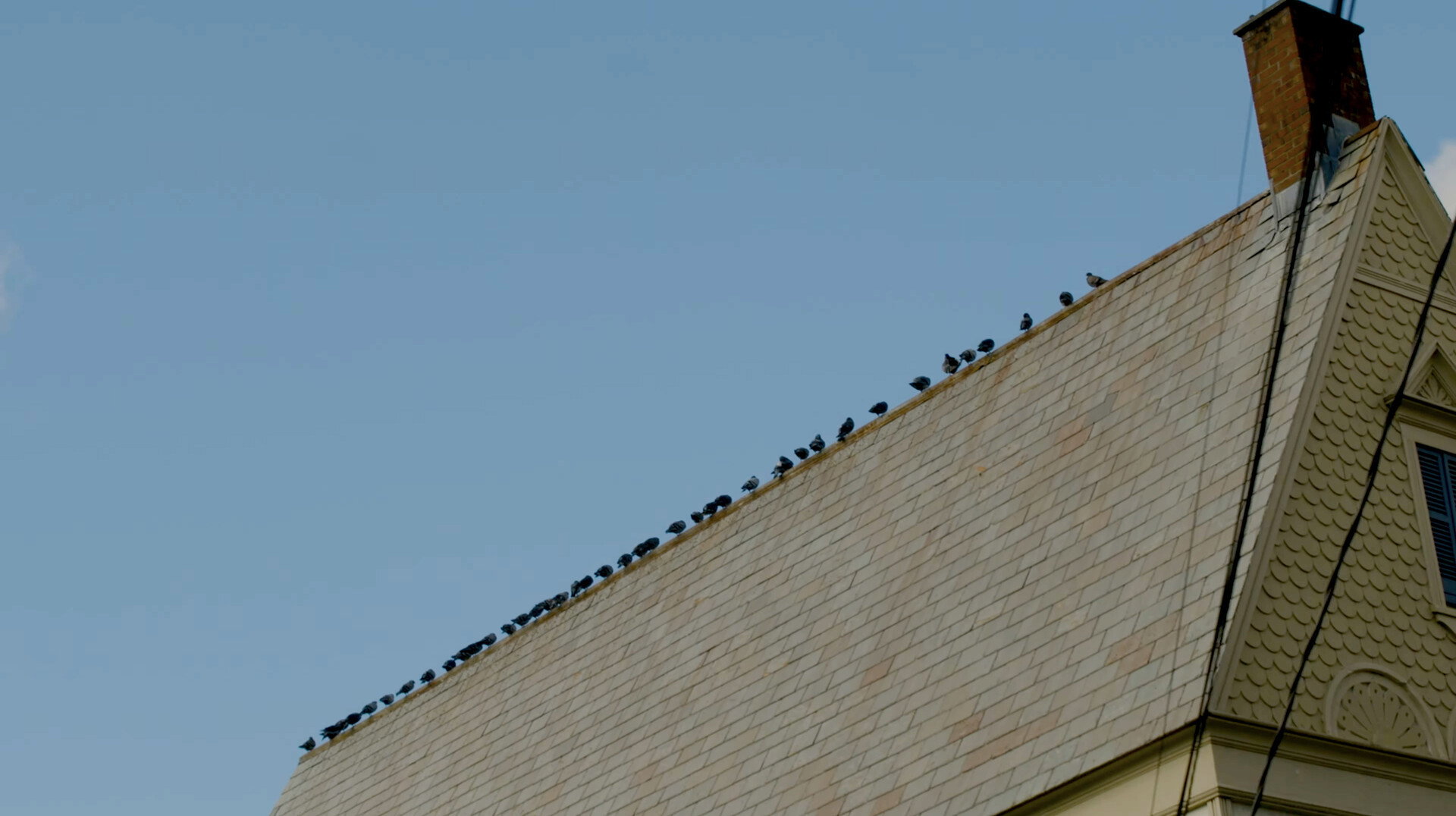 An Autumn Holiday: America, 2024