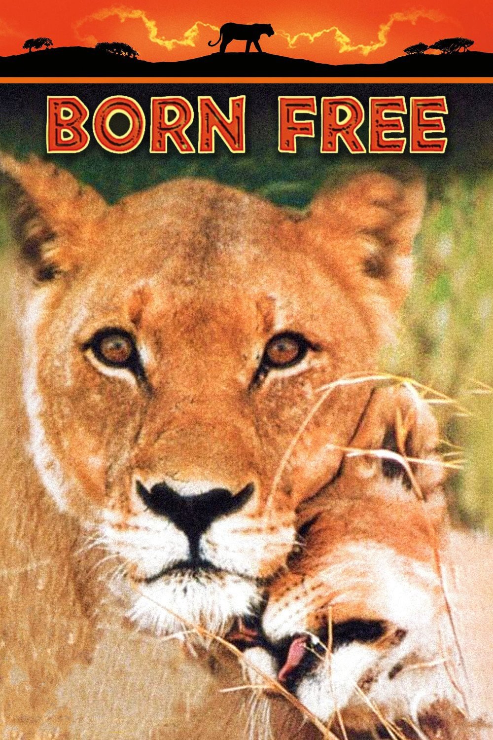 Born Free