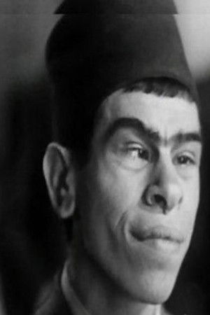 et billede af Safa El Gamil