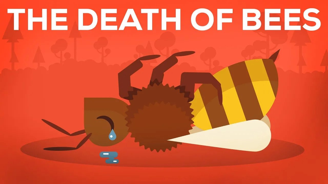 Kurzgesagt - In a Nutshell