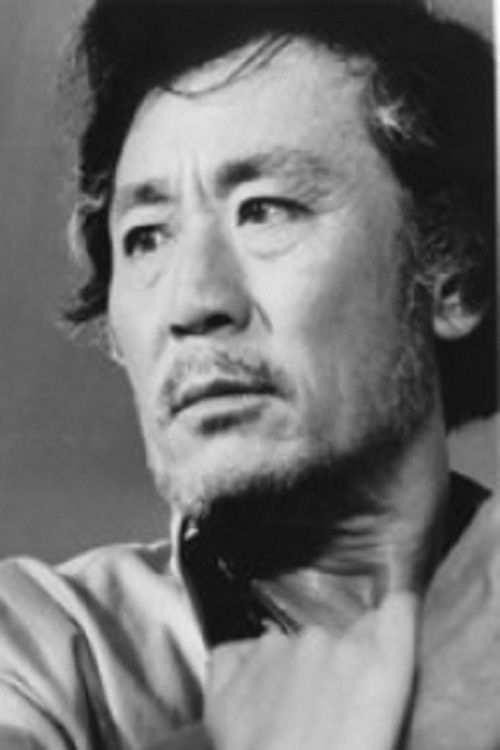 et billede af Kim Jin-hae