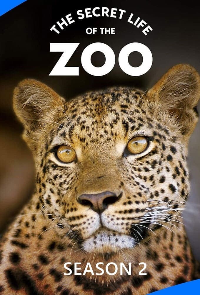 The Secret Life of the Zoo - Season 2