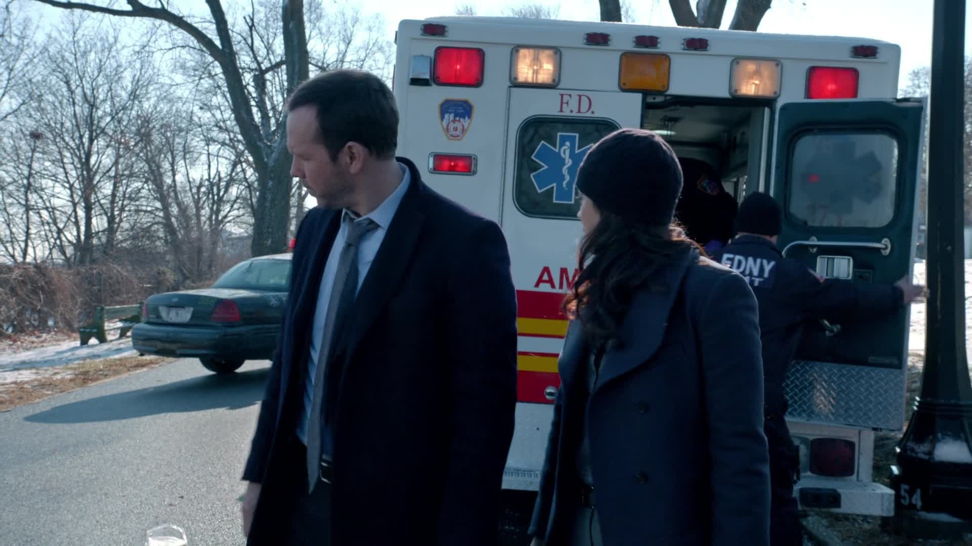 Blue Bloods Season 4 :Episode 13  Unfinished Business