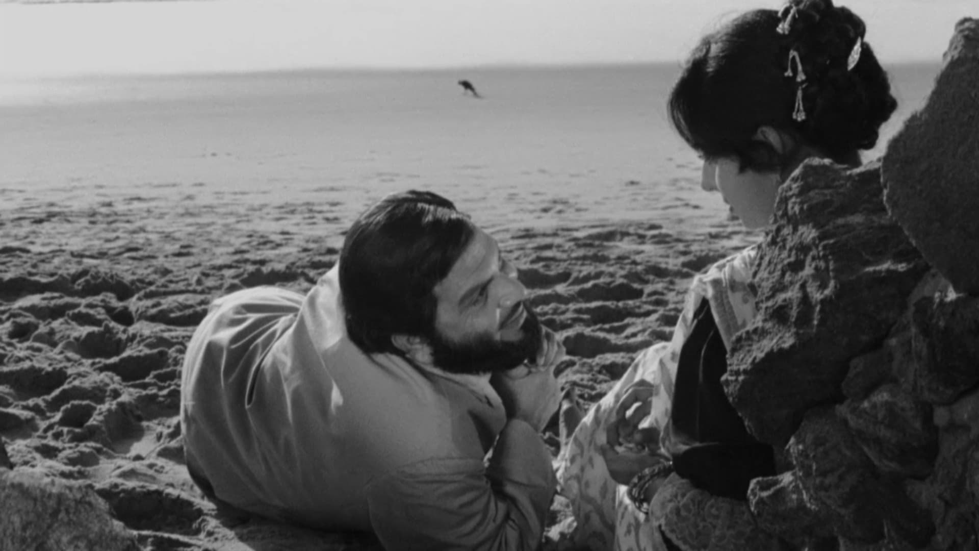 Charulata (1964)
