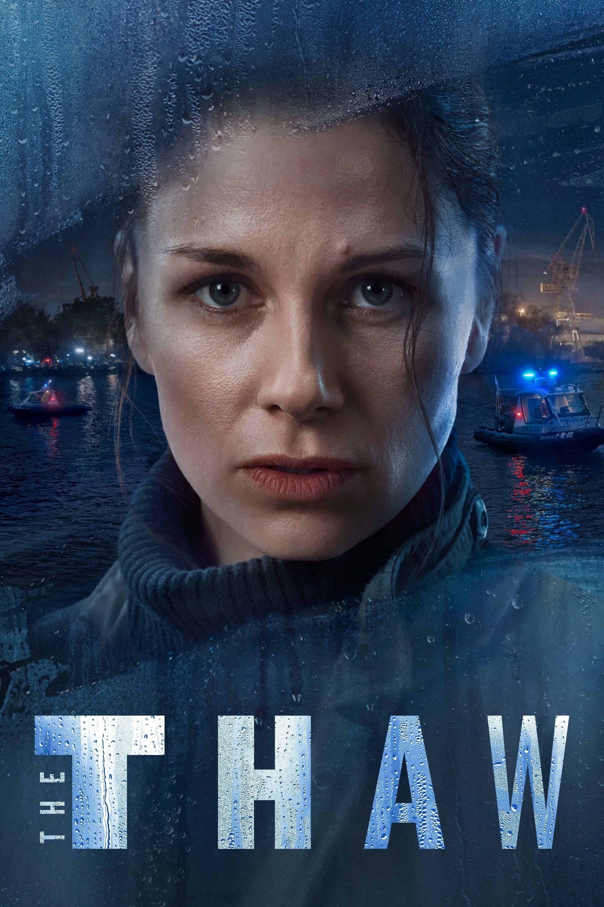 The Thaw poster cover