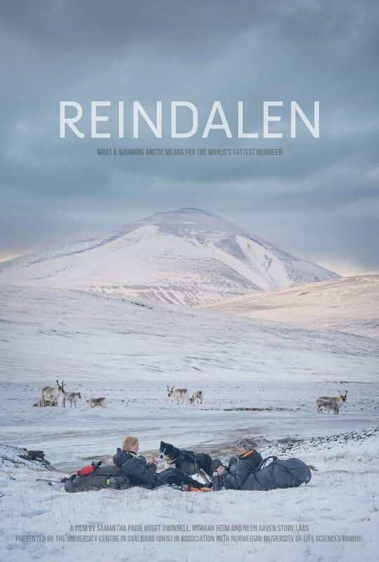 Reindalen