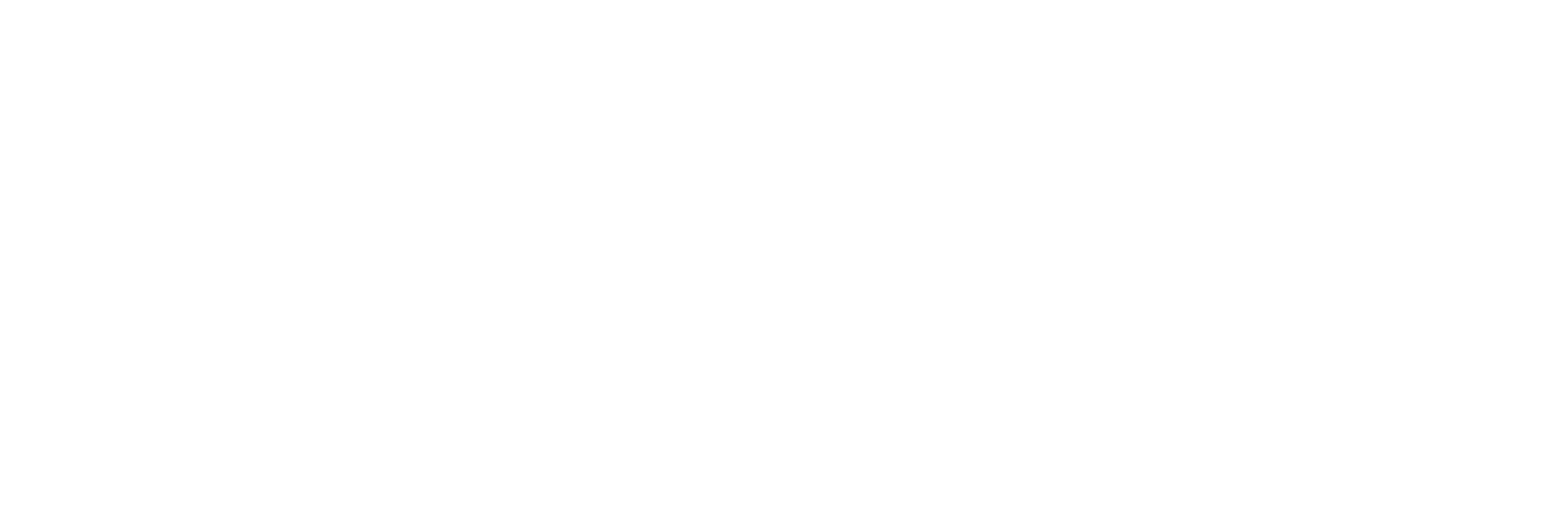 2010 Logo