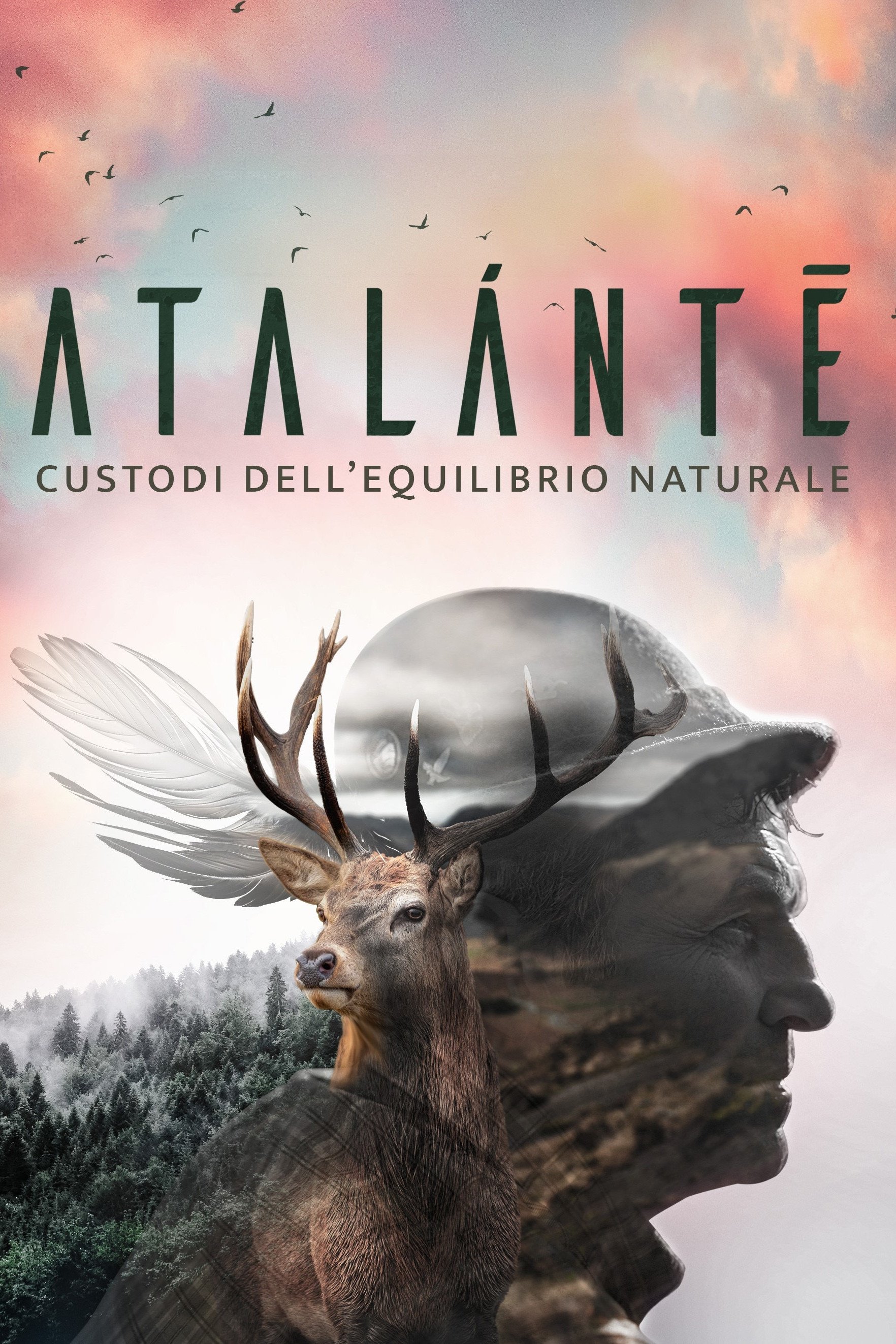 Content cover