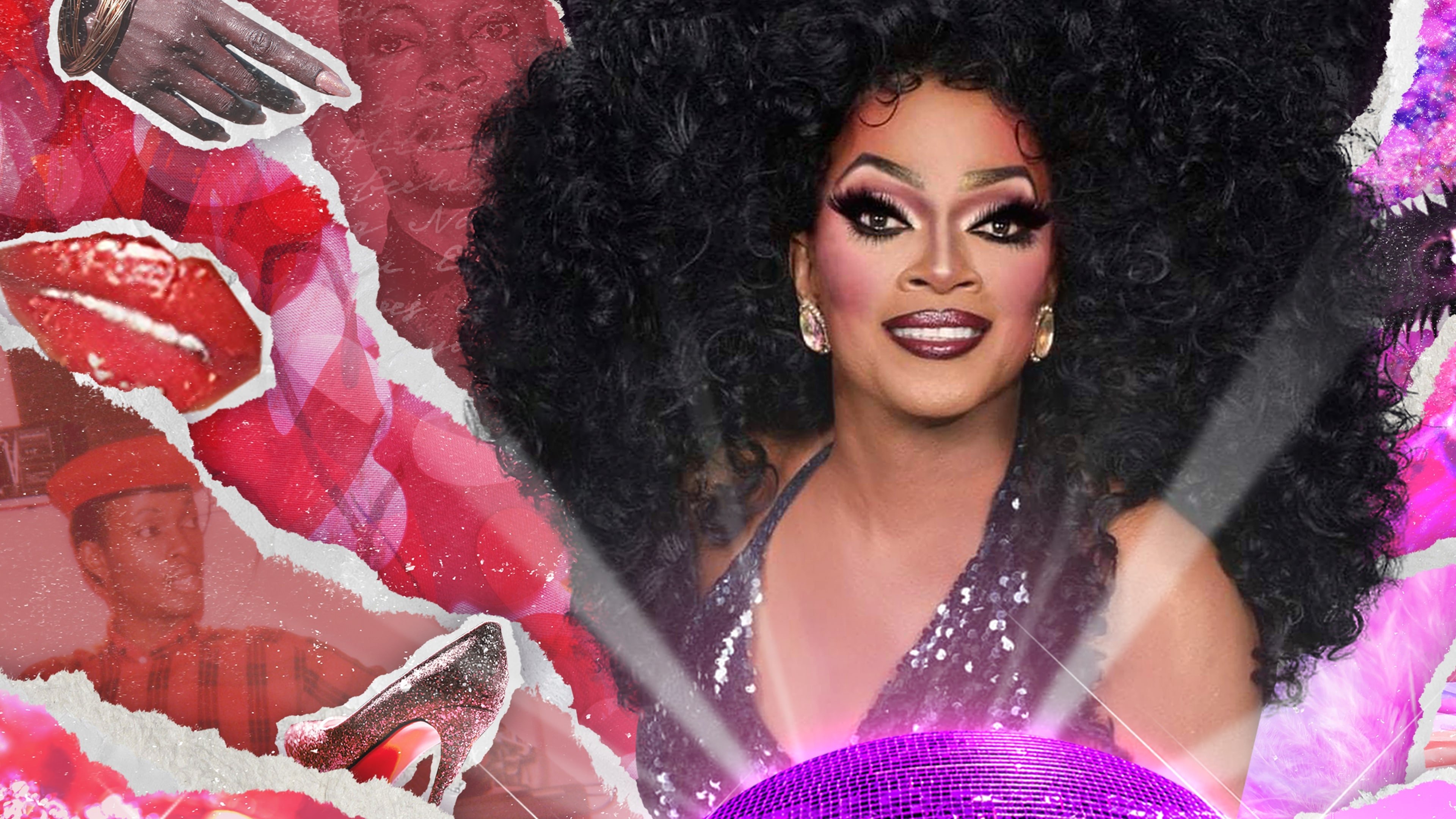 Michelle Ross: Unknown Icon