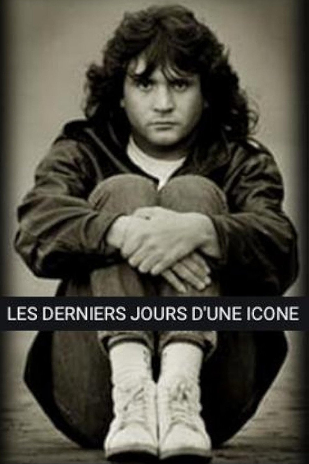 Les derniers jours d'une ic&ocirc;ne : Daniel Balavoine