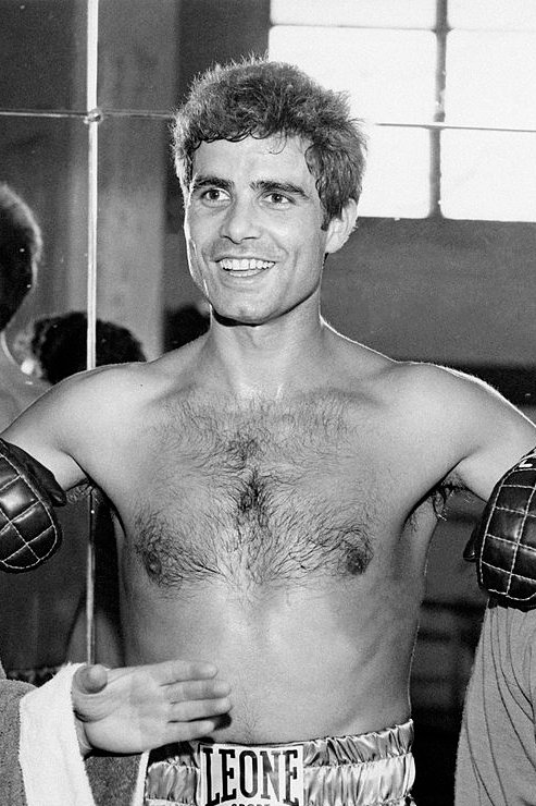 Nino Castelnuovo