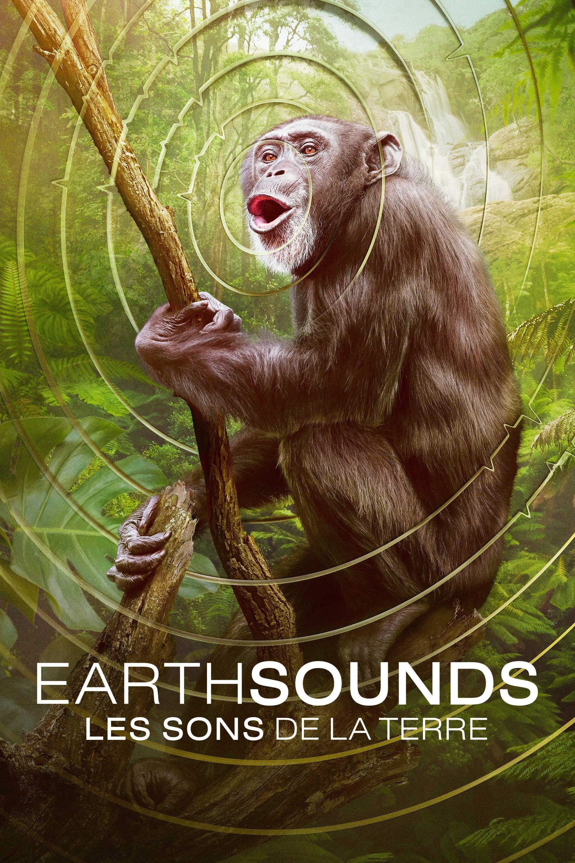 Earthsounds : les sons de la Terre