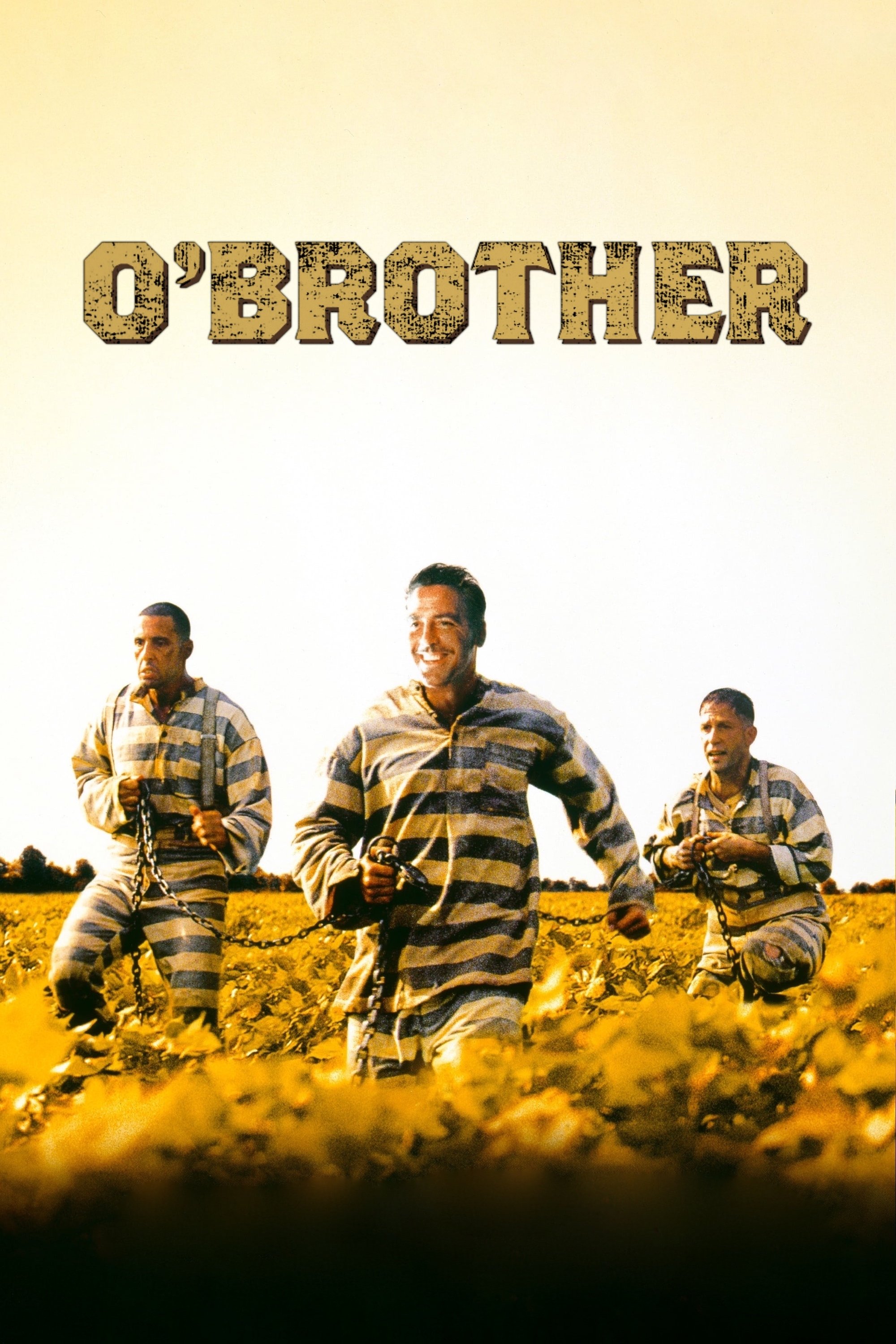 O Brother, Where Art Thou?