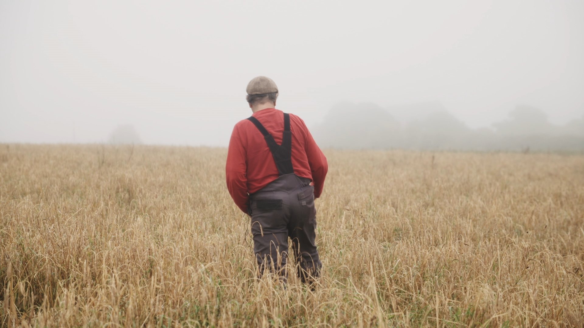 In Our Hands: Seeding Change