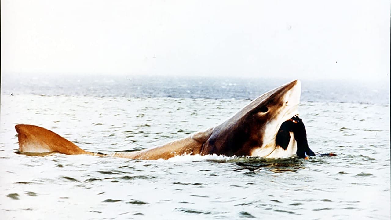 Tiburón 5 (1995)