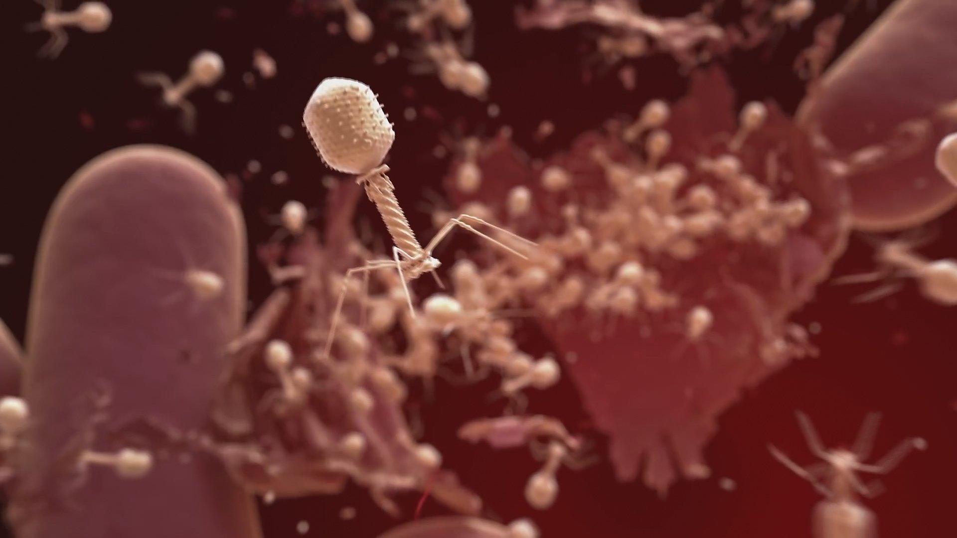 The Virus Within Us