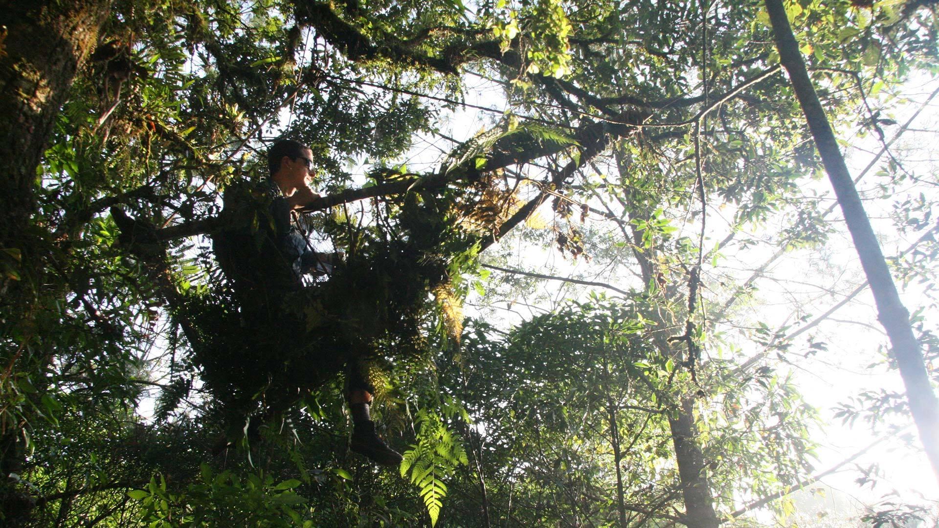 Man vs. Wild