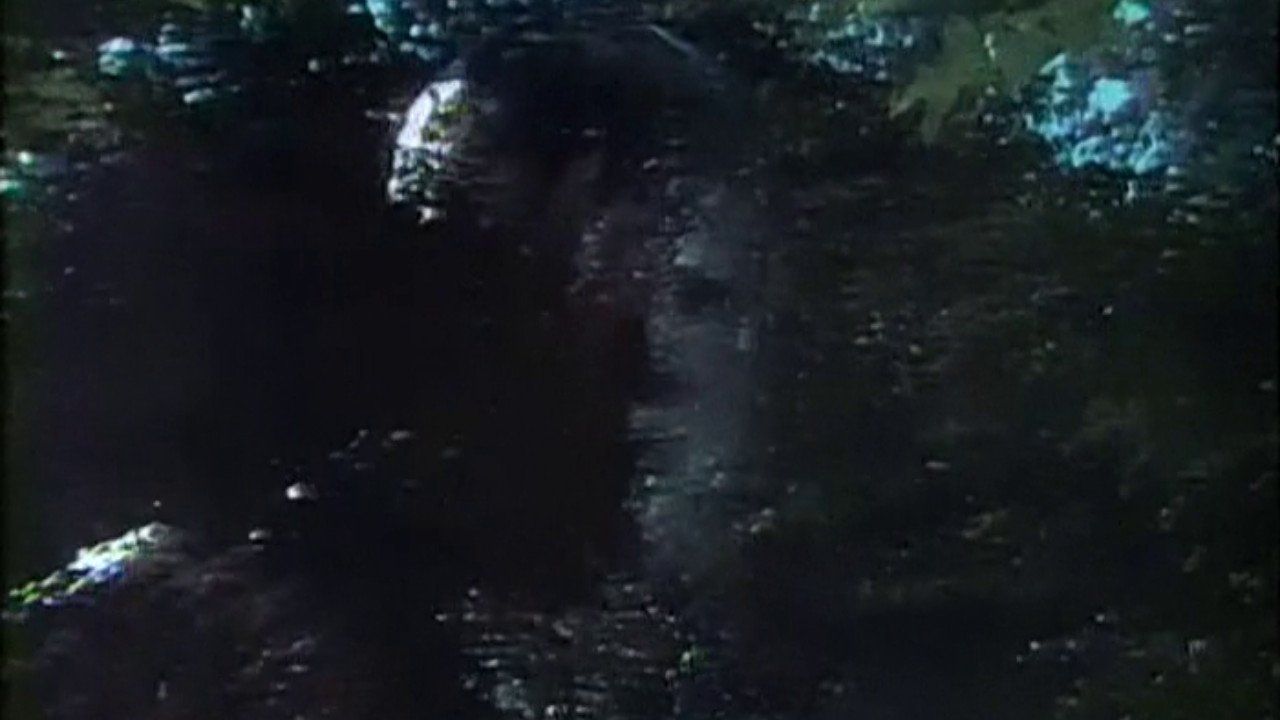 The World Beyond (1978)