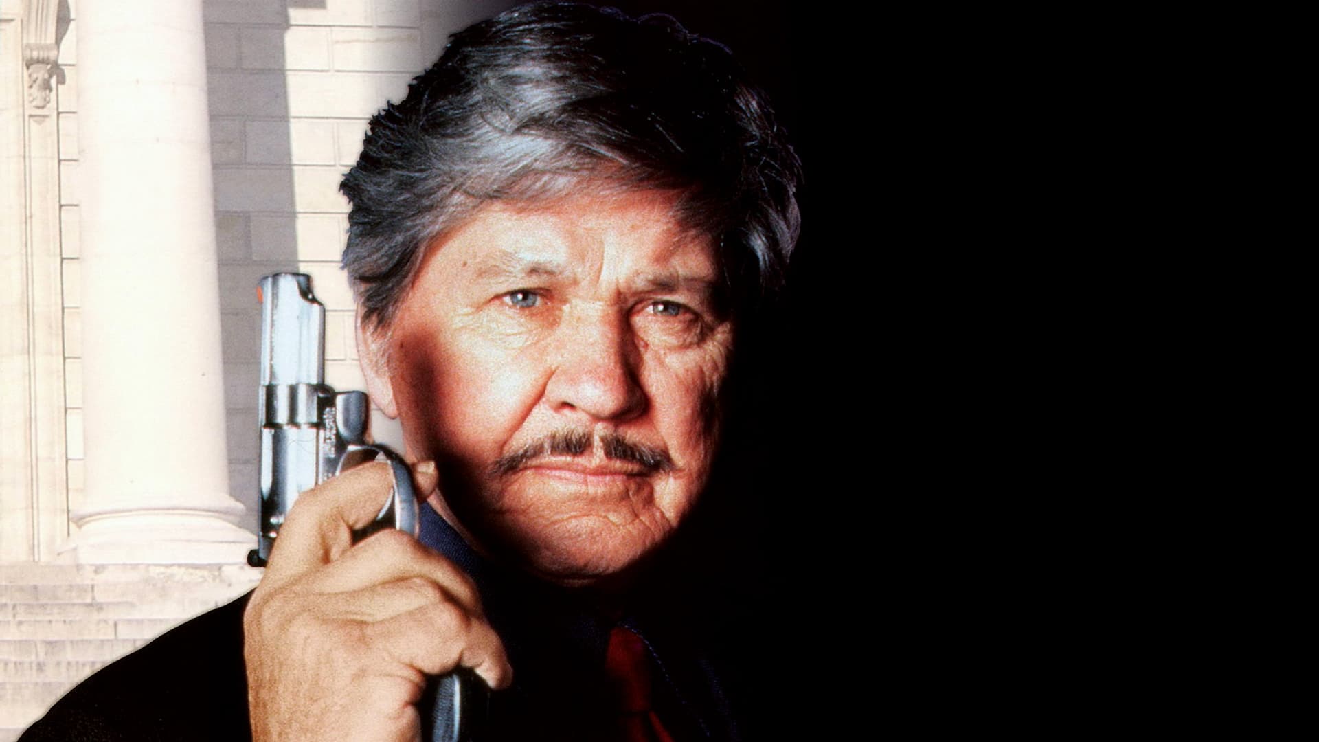 Death Wish V: The Face of Death (1994)