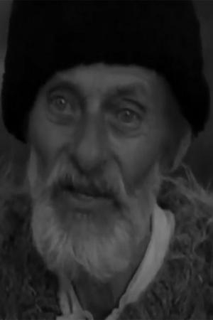 Nicolae Veniaș's picture in the cast