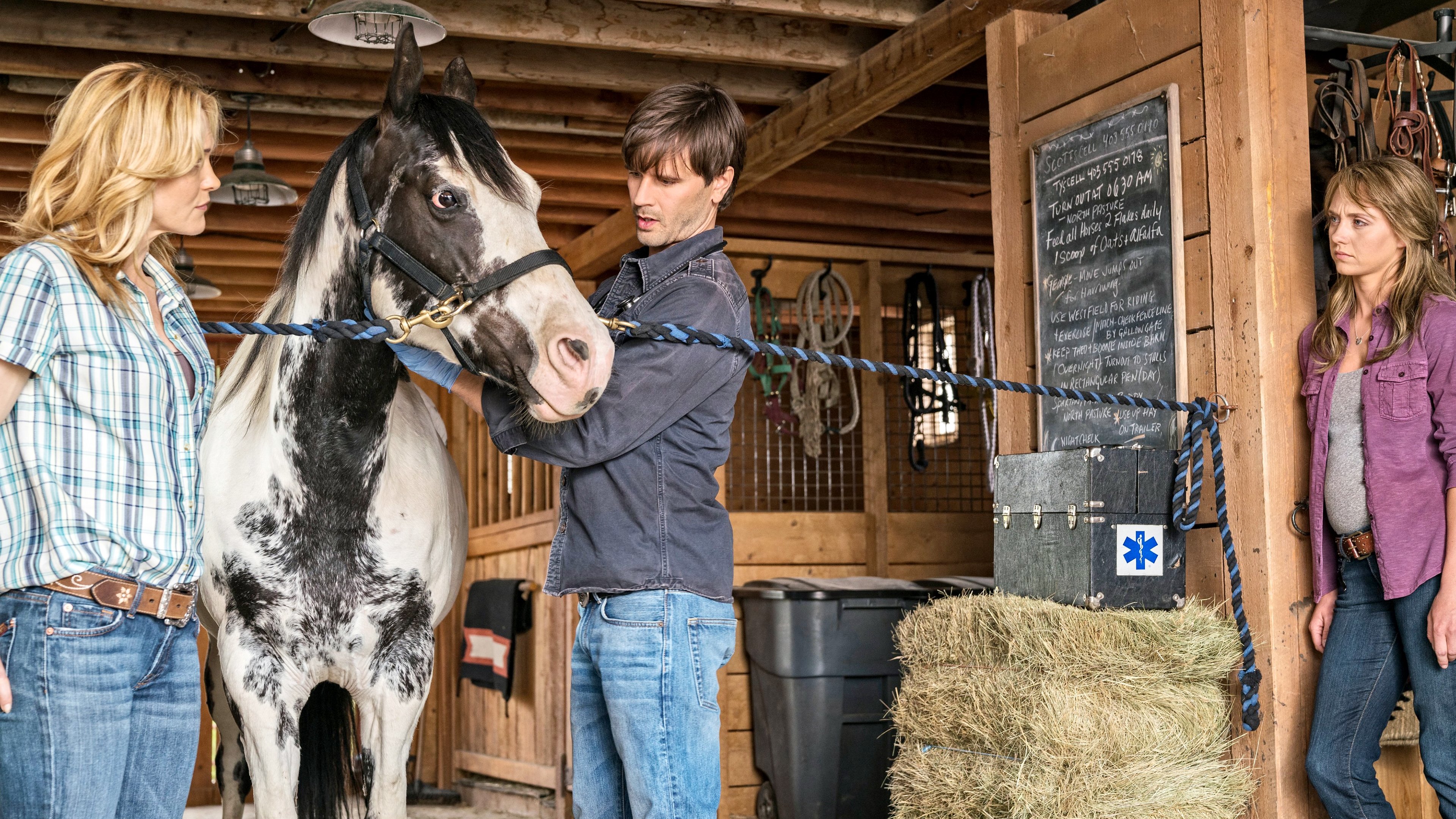 Heartland - Paradies für Pferde Staffel 10 :Folge 4 