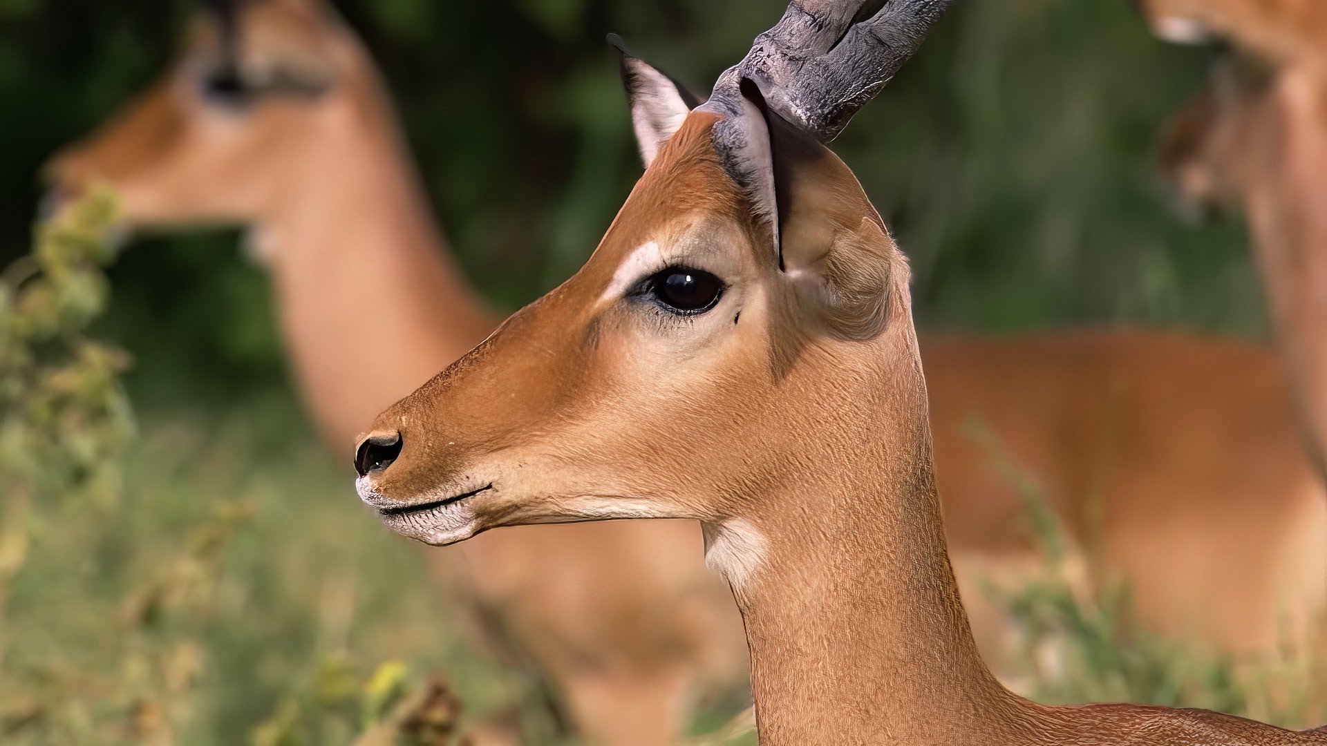 Earth Odyssey with Dylan Dreyer S04E21 backdrop