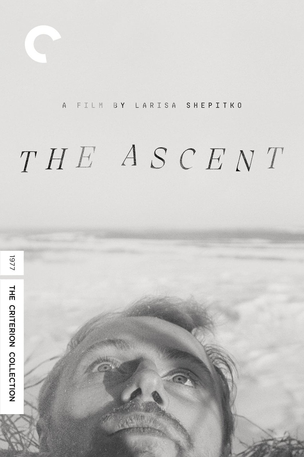 The Ascent