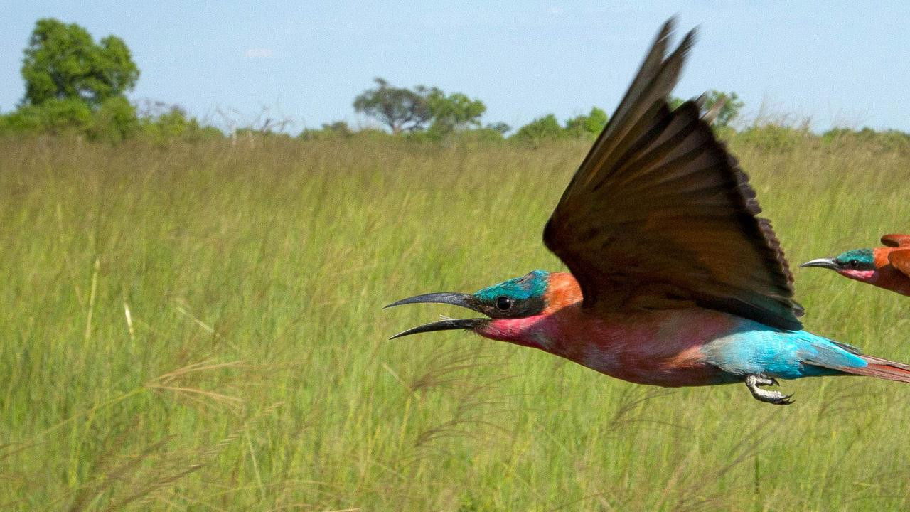 Terra X - Eine Erde viele Welten Season 1 :Episode 5  Episode 5