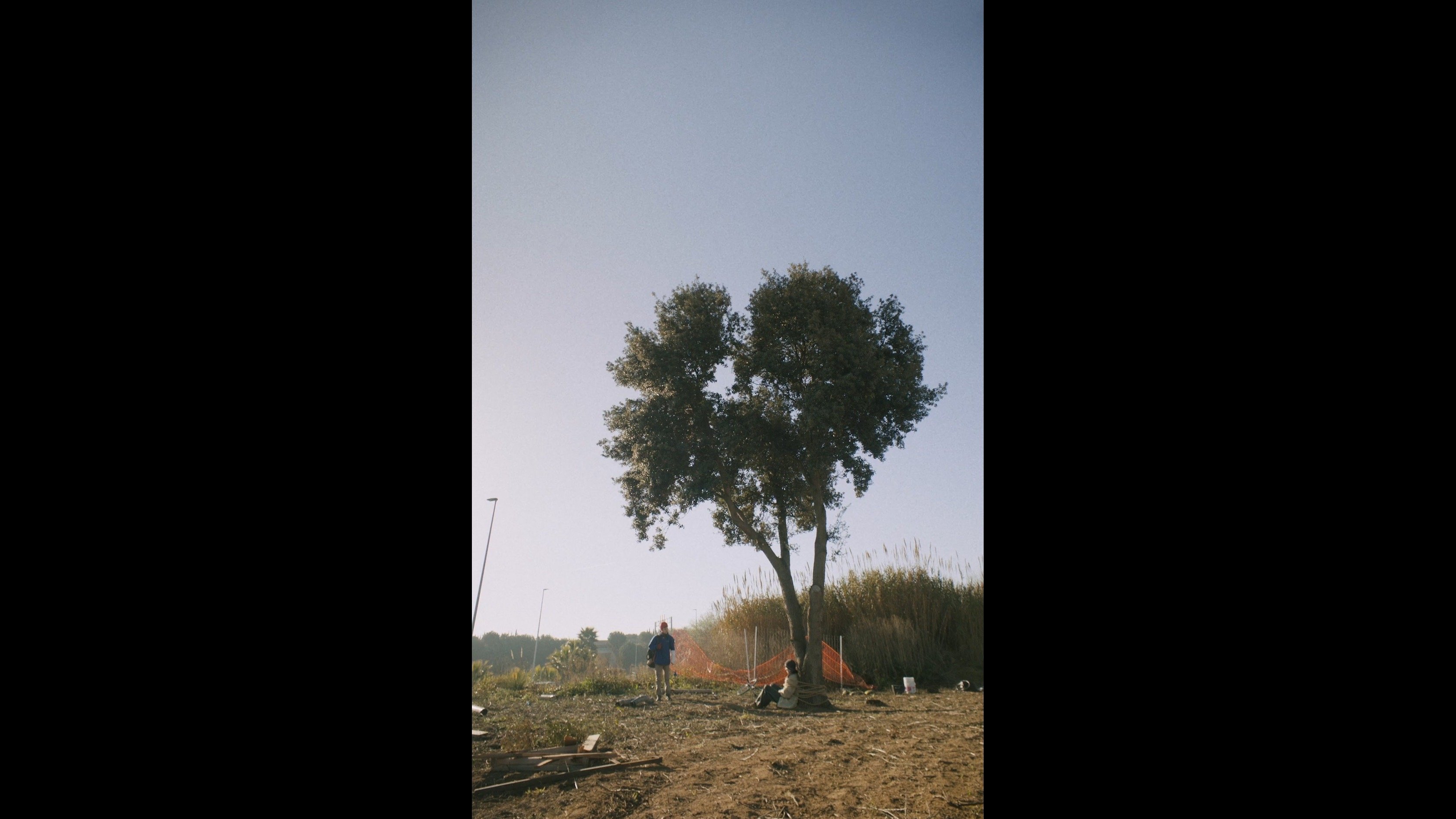 The silent cry of the trees (2023)