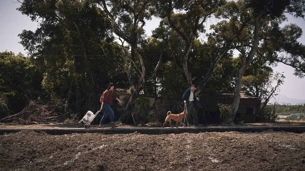 An Abandoned Team (2024)
