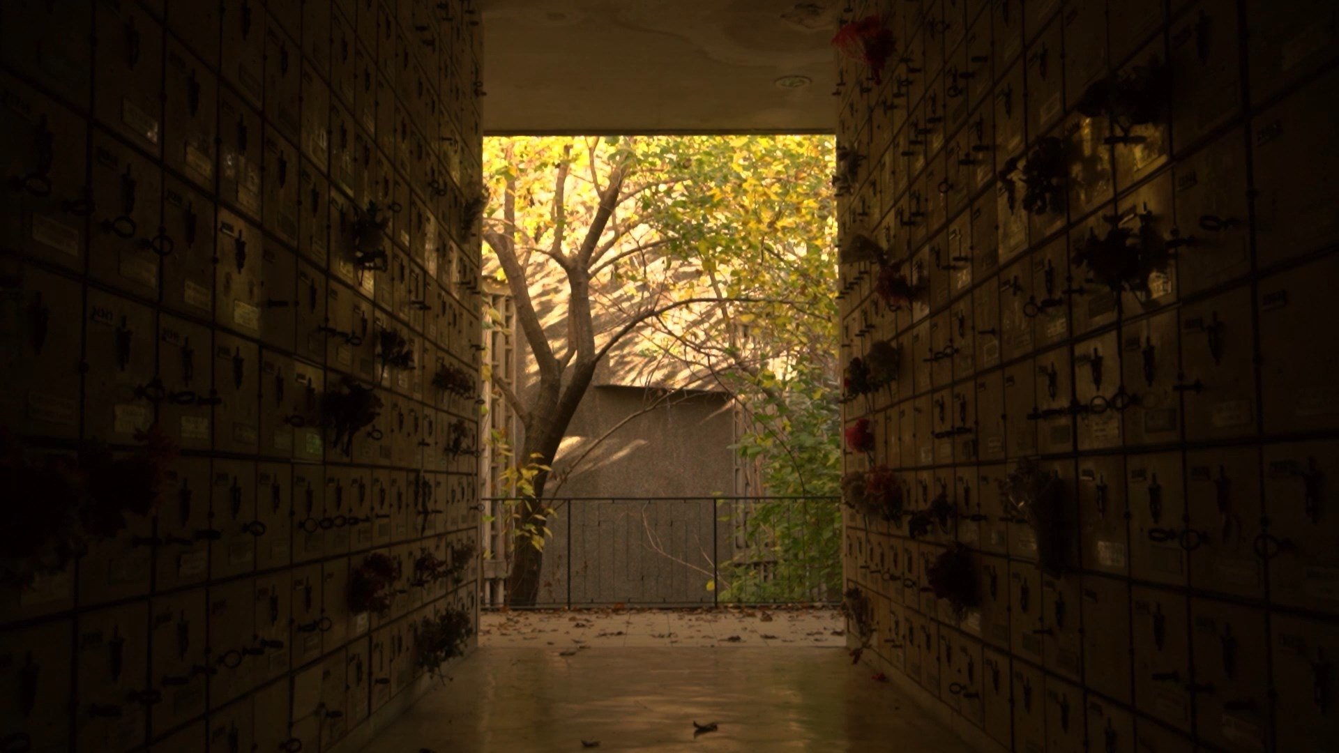 Sanctuary