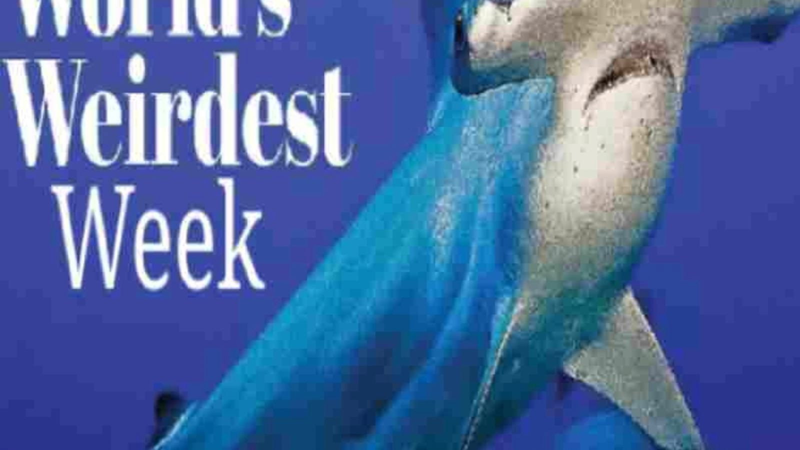 World's Weirdest Week