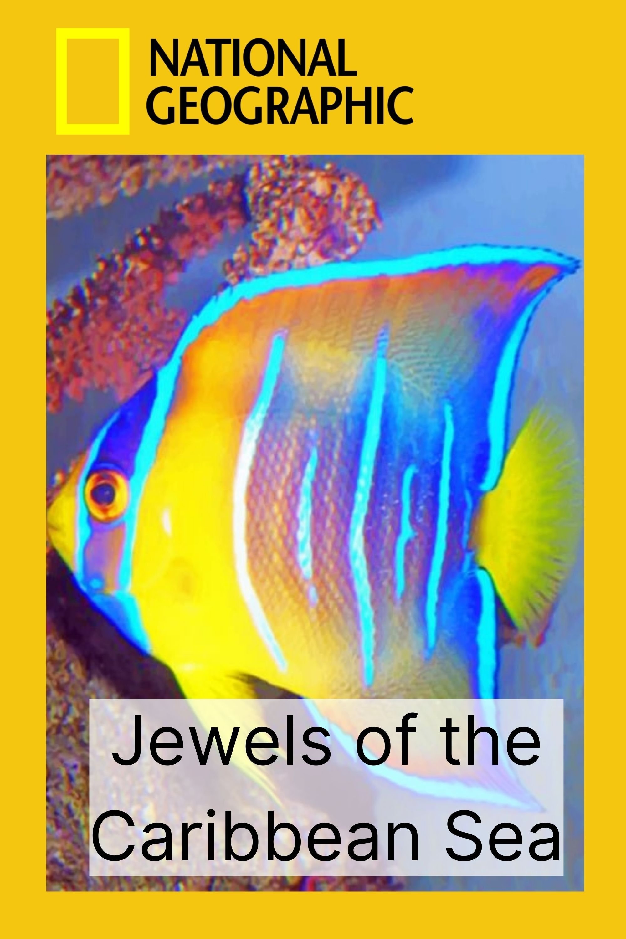 Jewels of the Caribbean Sea