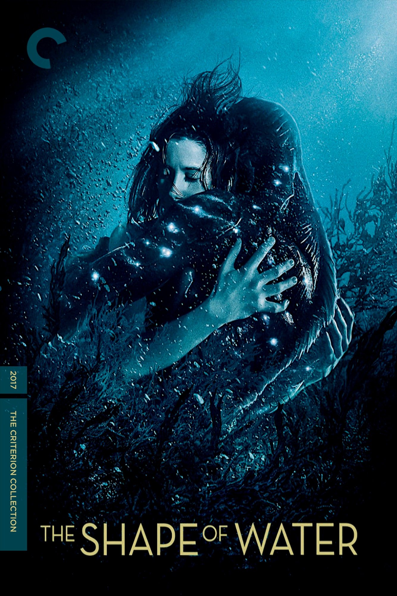 The Shape of Water