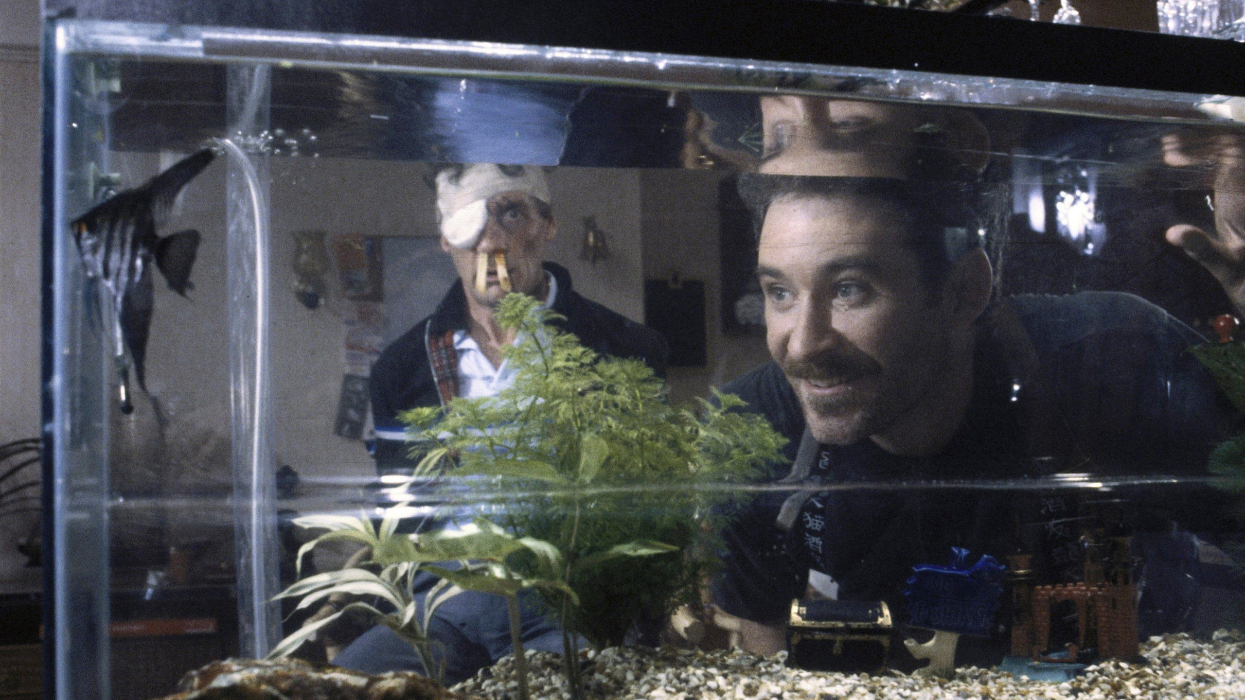 A Fish Called Wanda (1988) — still 2