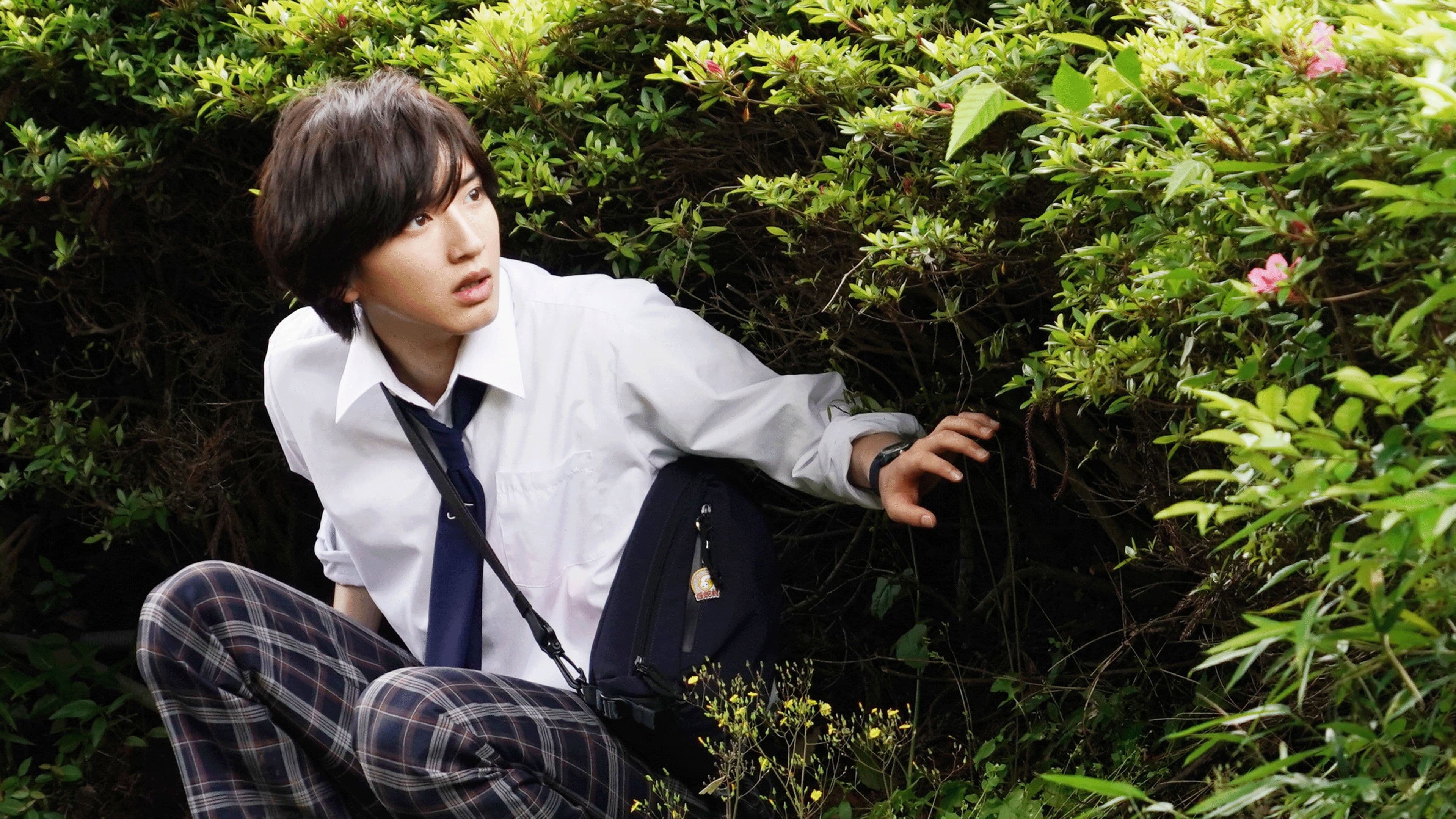 The Files of Young Kindaichi