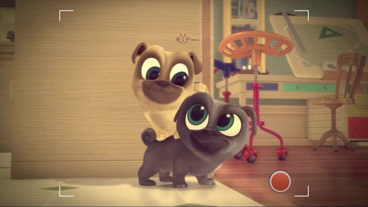 Puppy Dog Pals