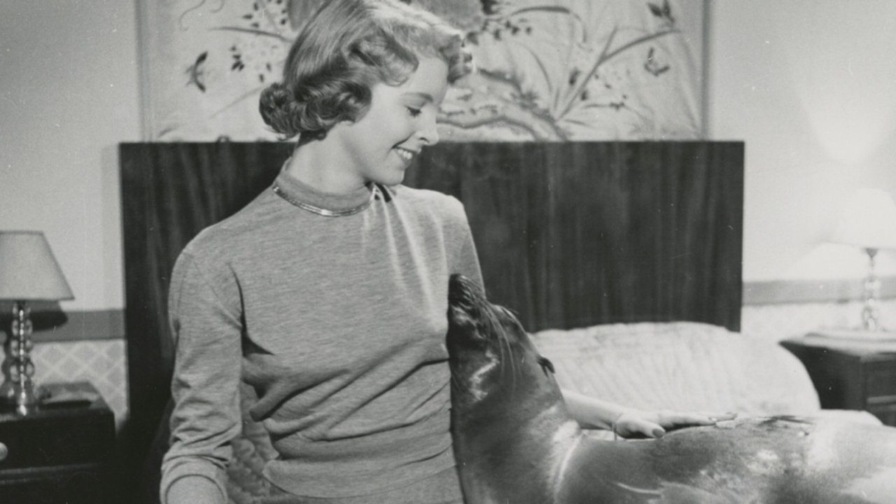Min vän Oscar (1951)