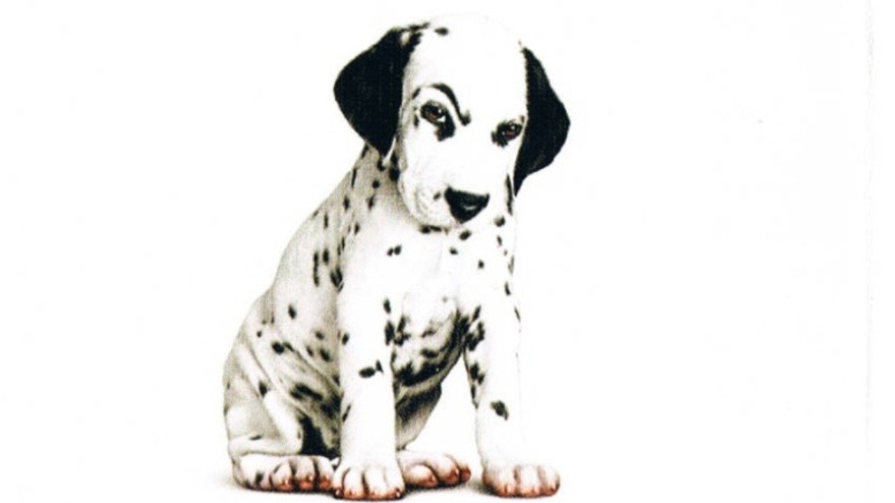 2000 102 Dalmatians