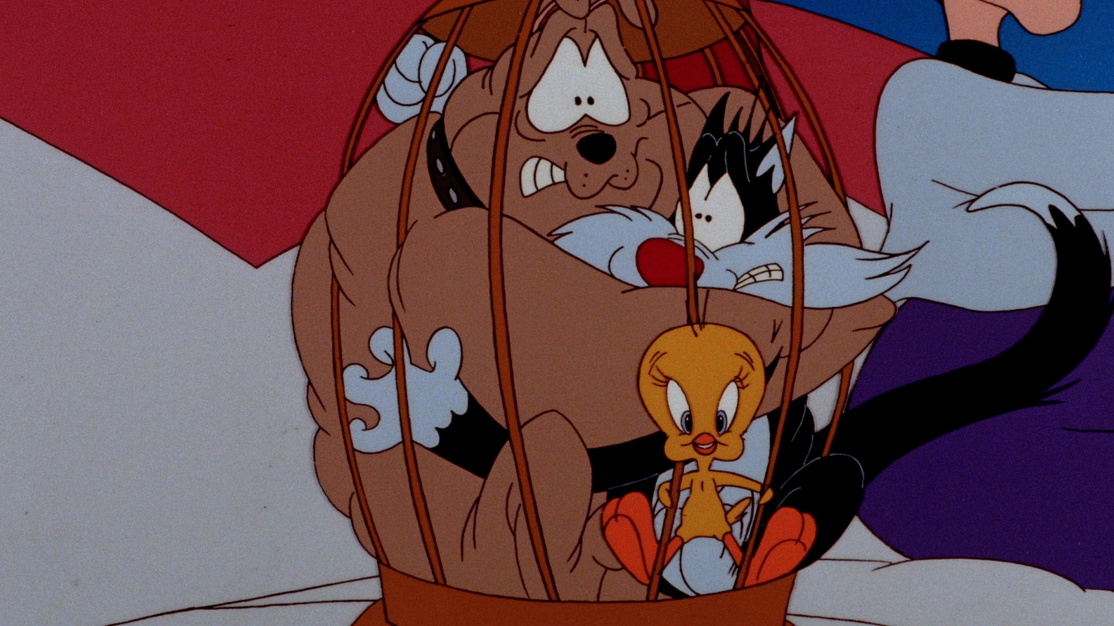 The Sylvester & Tweety Mysteries